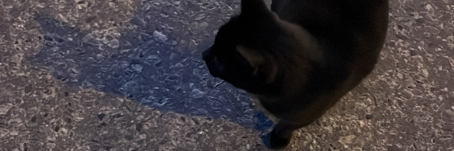 cecirandb's profile banner image