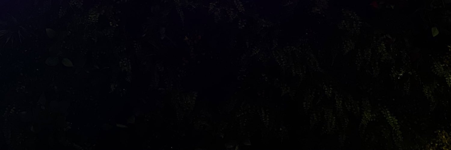 svtcabrera_'s profile banner image