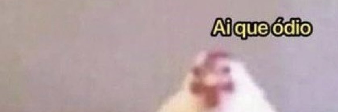 gigi perigosa banner