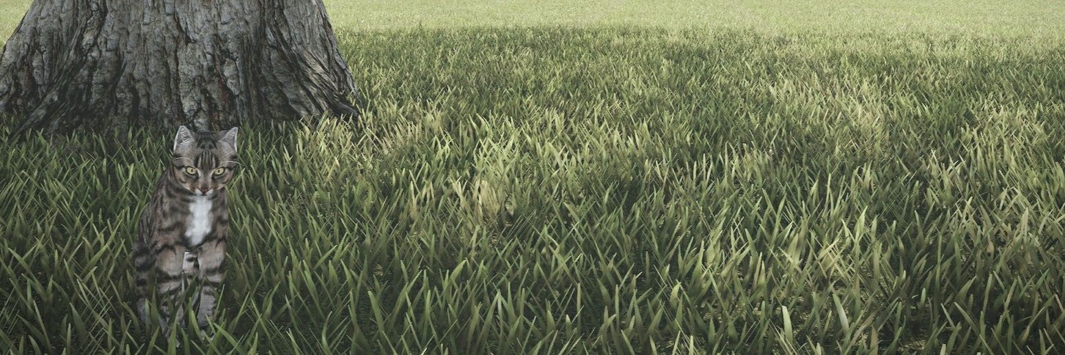 labibirfan34's profile banner image