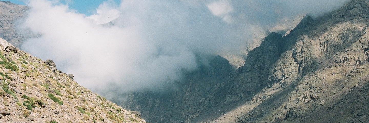 harveyrobin's profile banner image