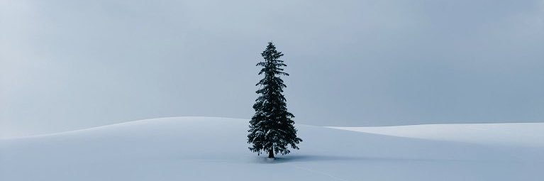 eyexoeye's profile banner image