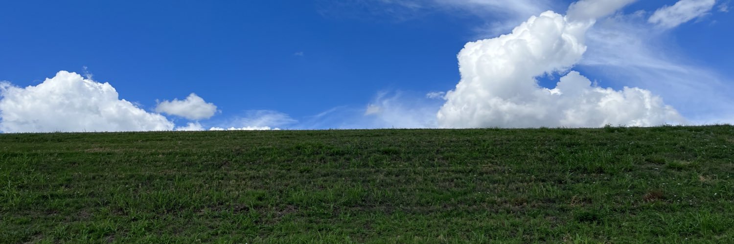 chippwins's profile banner image