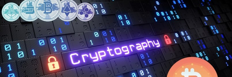 lsj2037's profile banner image
