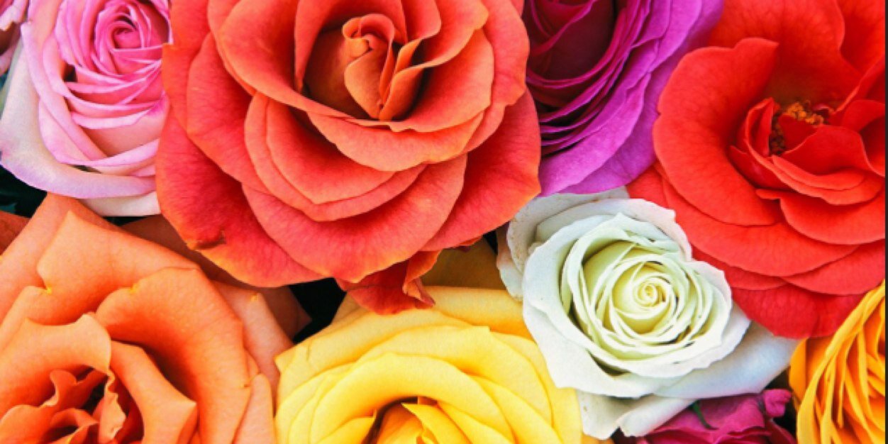 Laurs24's profile banner image