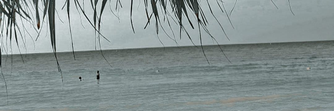 zafa1909's profile banner image