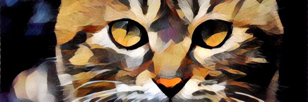CW_Zachary's profile banner image