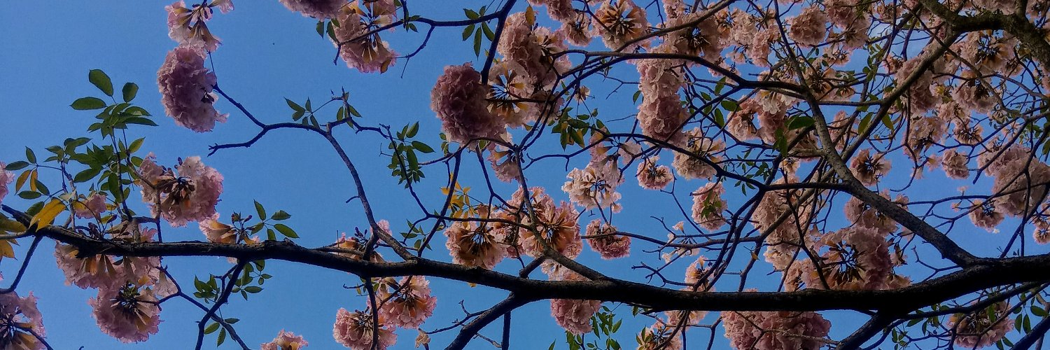 coloppy's profile banner image