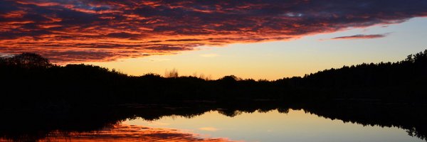 Nerat67 Profile Banner