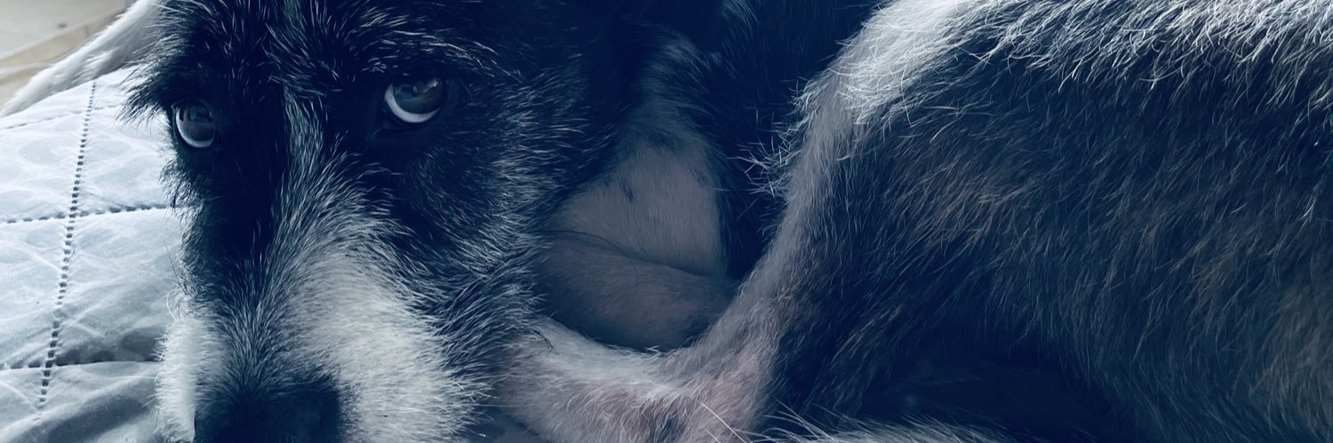 DanielaaaAleja's profile banner image