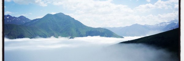 Basket_forever Profile Banner