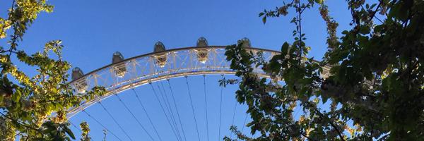 Physio_Grodes Profile Banner