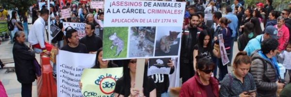 Janya75 Profile Banner