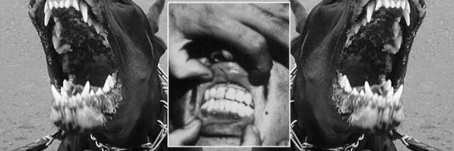 LouisTheCoolest's profile banner image