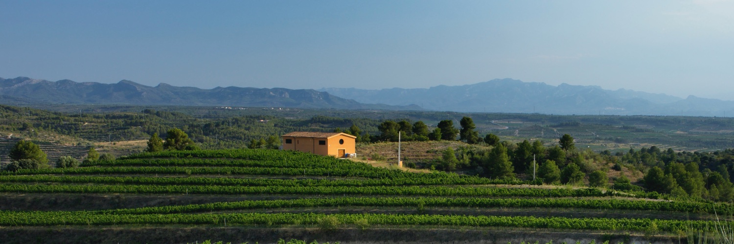 ClosGalena's profile banner image