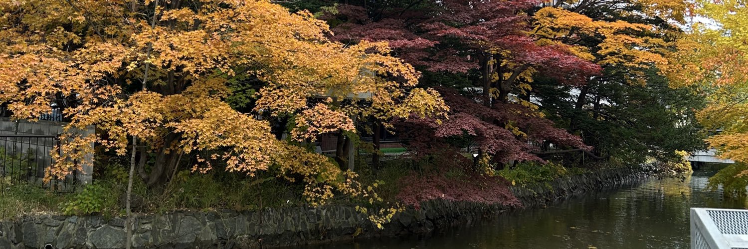 a__n0401's profile banner image