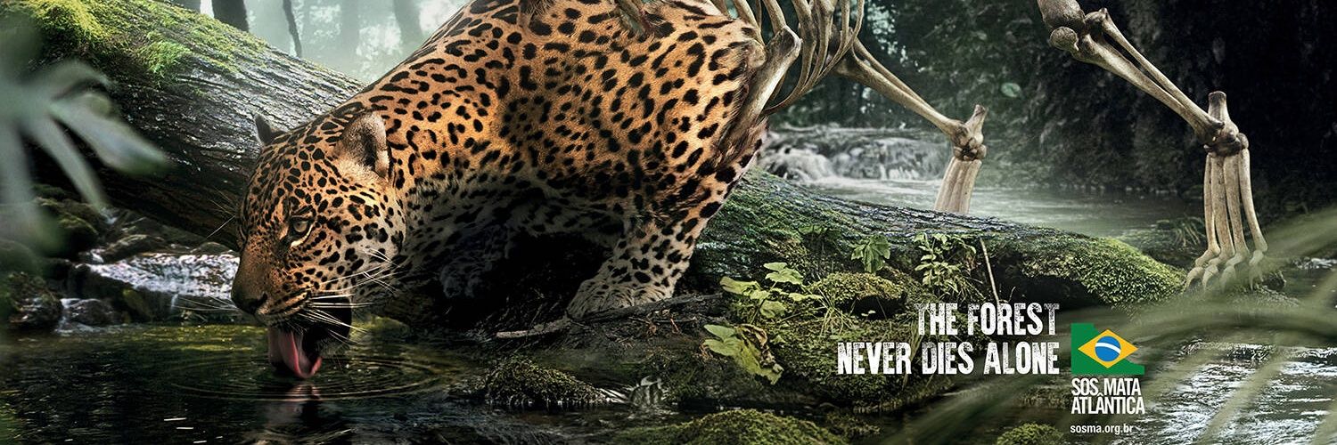 ThinkNex's profile banner image