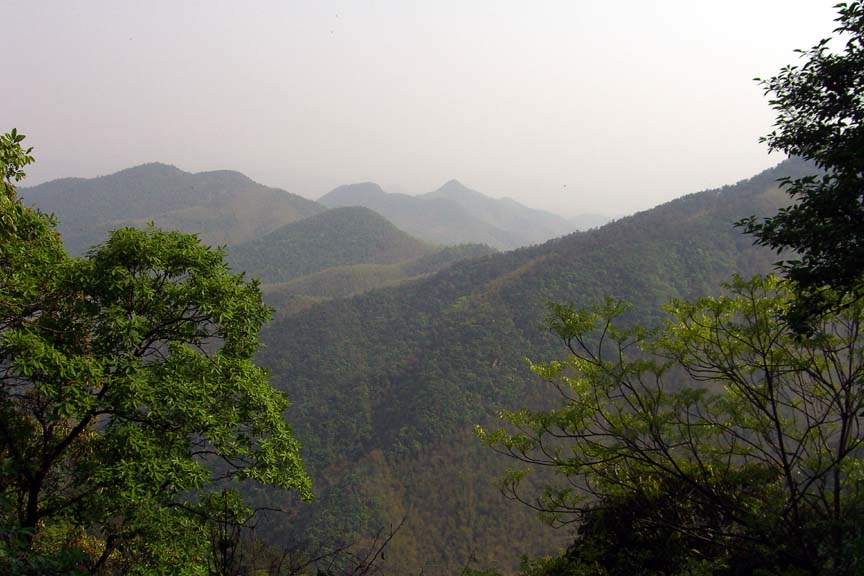 loc chau quang banner