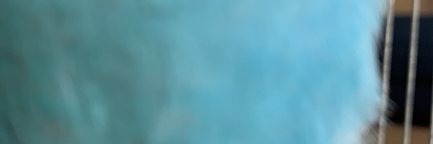 KYdiscoo's profile banner image