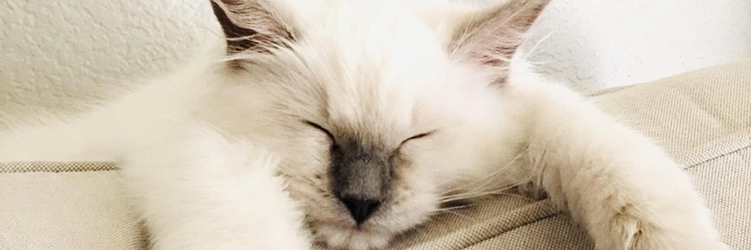 Obvi_itsCece's profile banner image