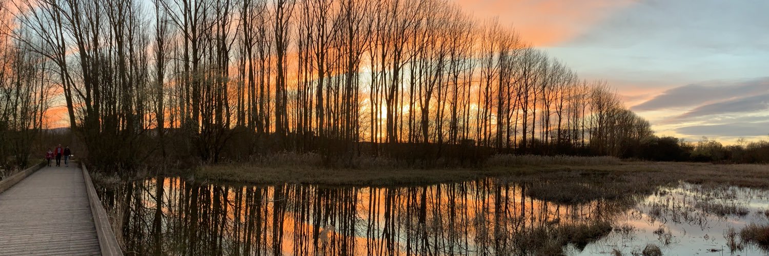 Toni Solanelles banner