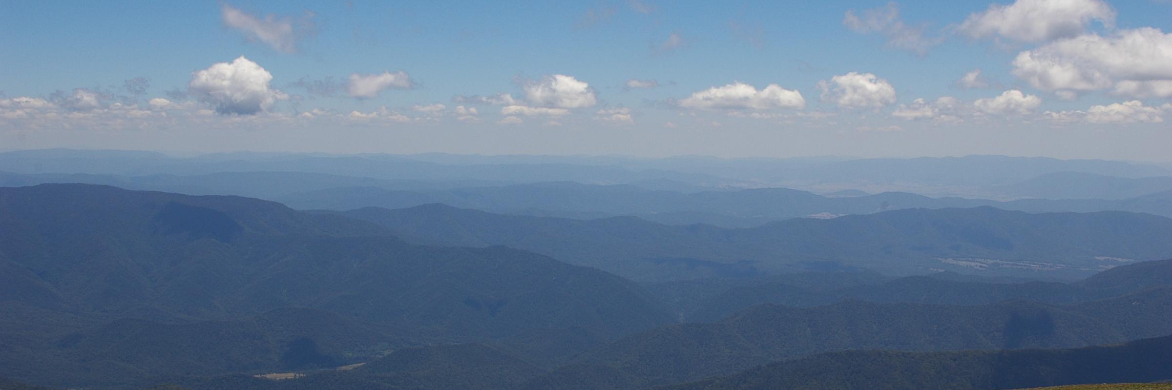 Mary Myerscough banner