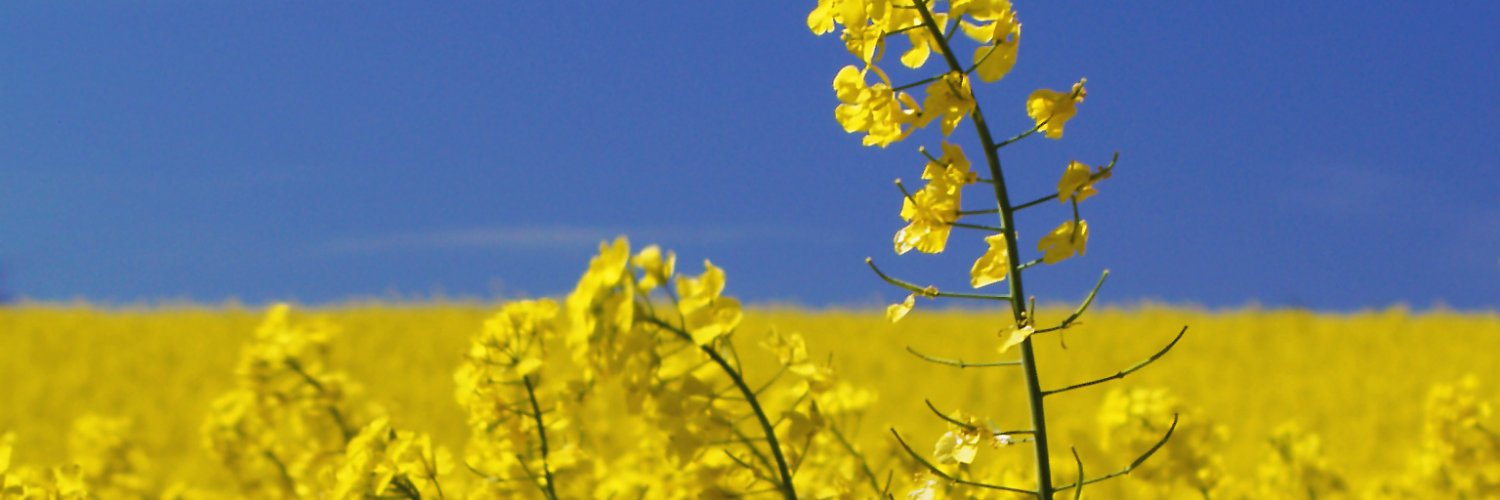 7achpb4's profile banner image