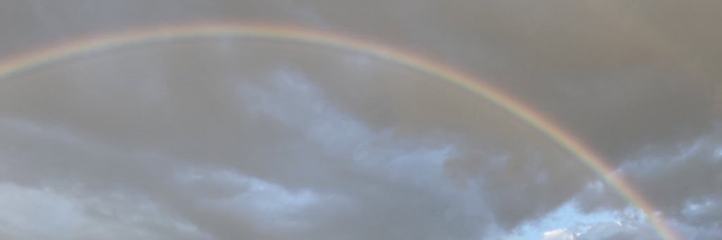 ぐちまるちゃん banner