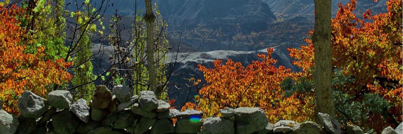 PositivePakstan's profile banner image