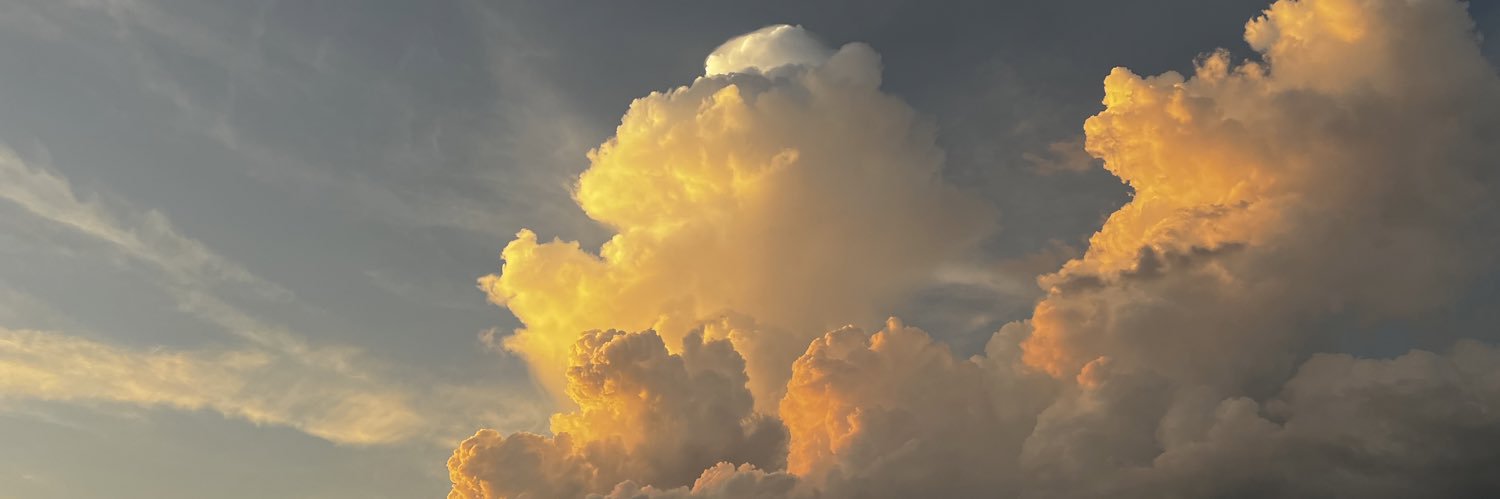 raykallmeyer's profile banner image