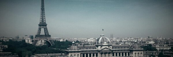 rosedamo Profile Banner