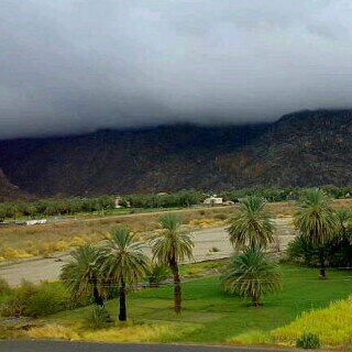 فارس محمد الحارثي banner