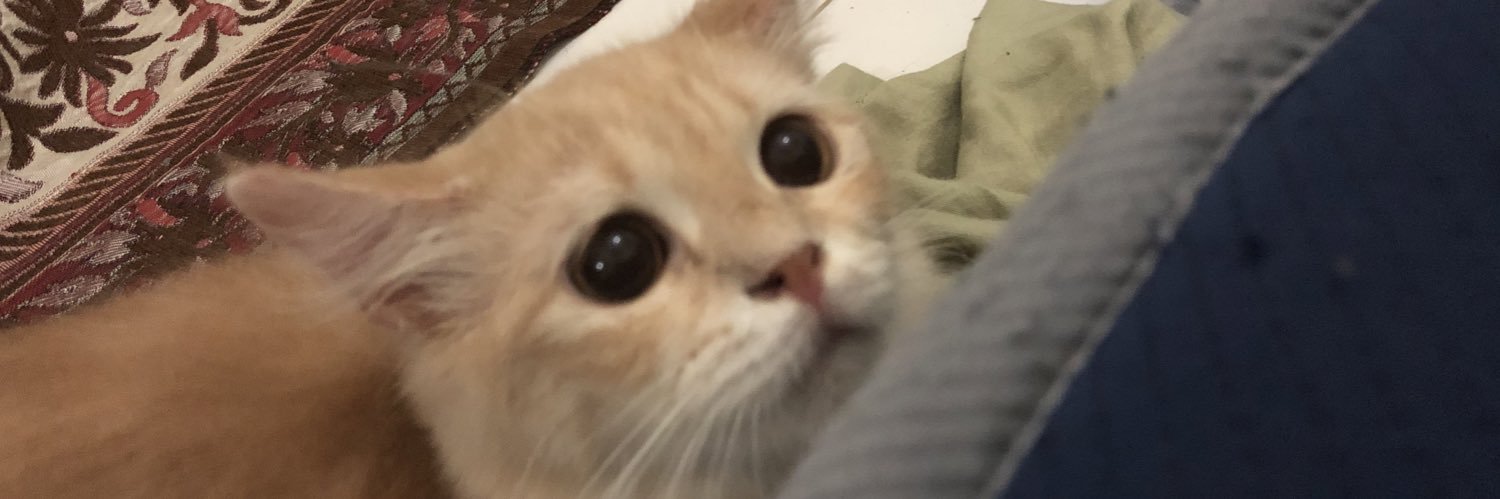 lambdoidea's profile banner image