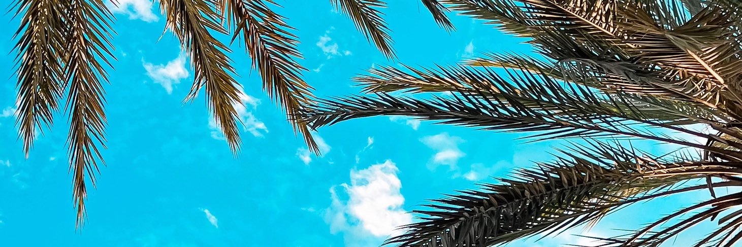 TCBodiford's profile banner image