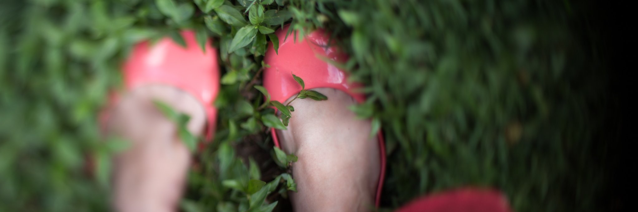 wendyography's profile banner image