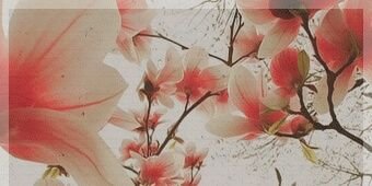 nalmanea53's profile banner image