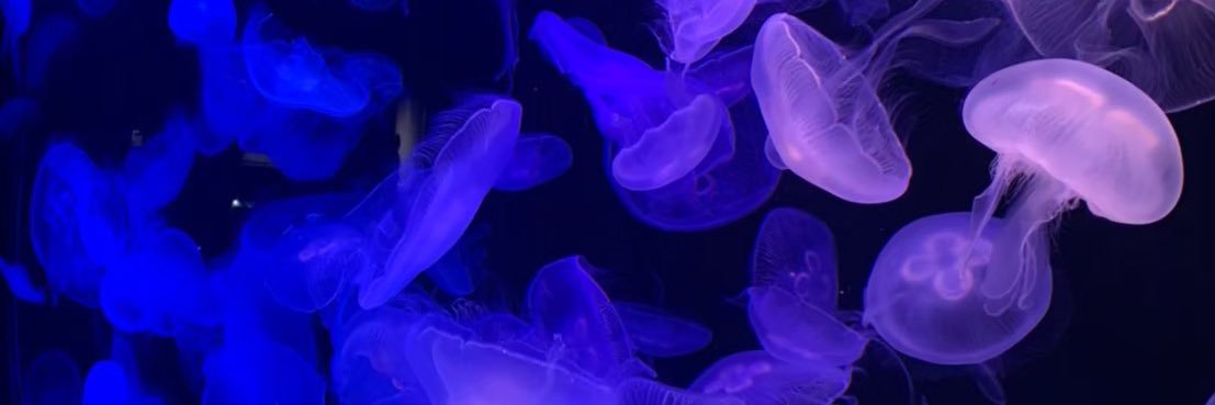 carewater's profile banner image