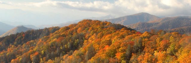 _blakejohnson's profile banner image