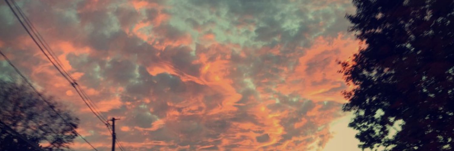 AVasquez31's profile banner image