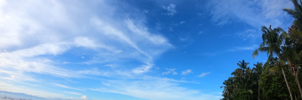 tomboeckel1's profile banner image