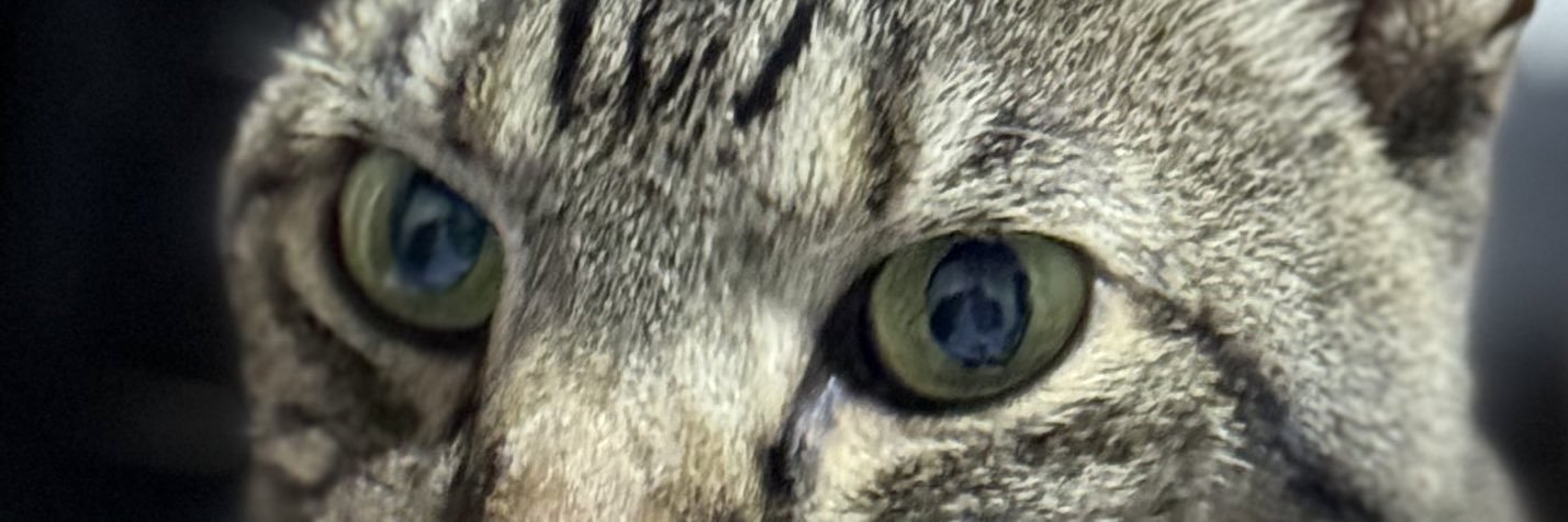 AVAIL108's profile banner image