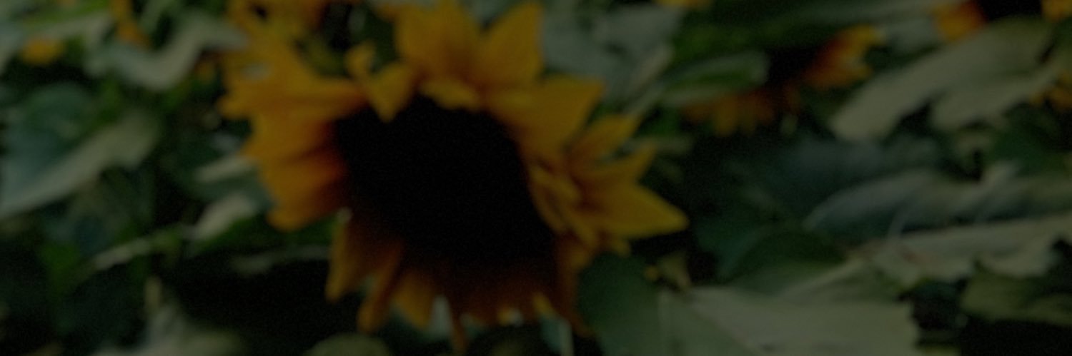 _chrisj14_'s profile banner image