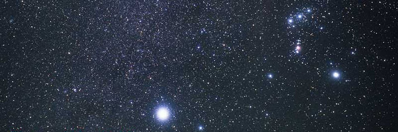 Transsexuals 🌈 🏳️‍⚧️ banner