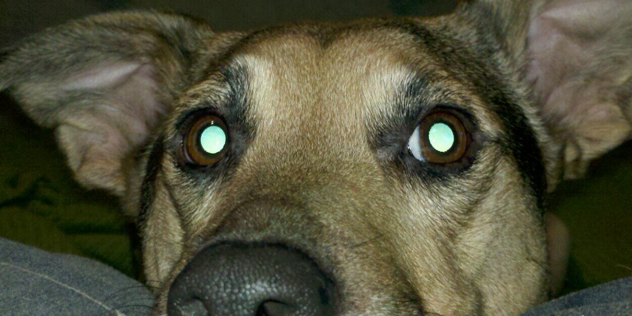 sassy2398's profile banner image