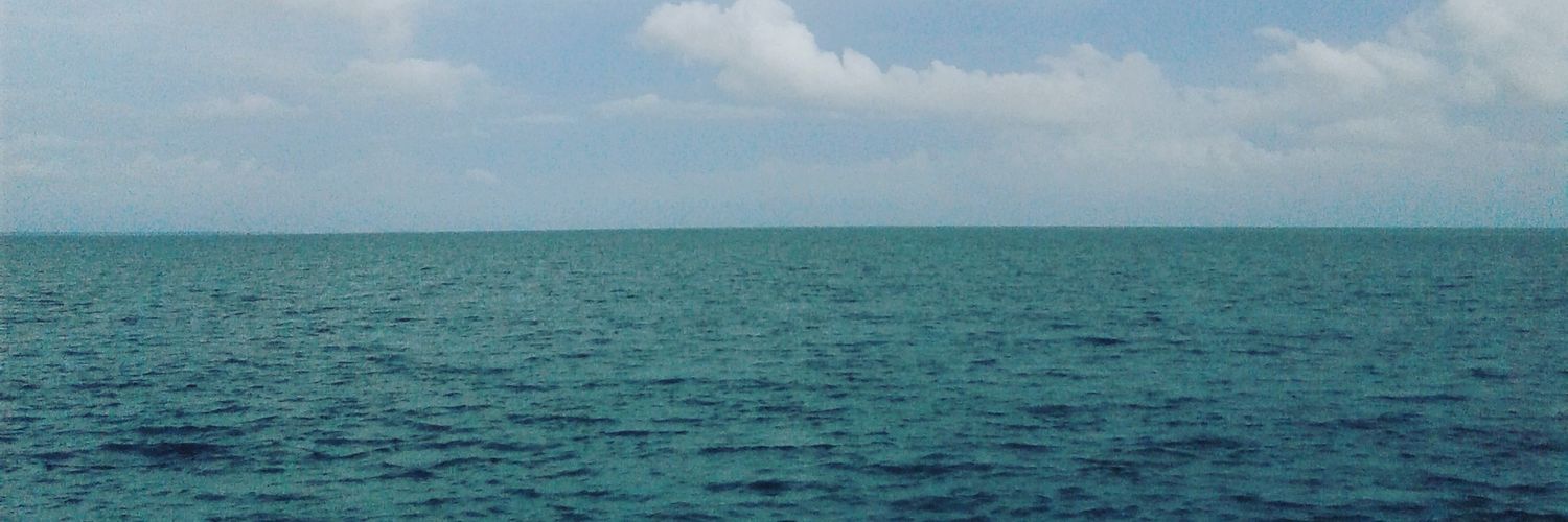 19nxjv's profile banner image