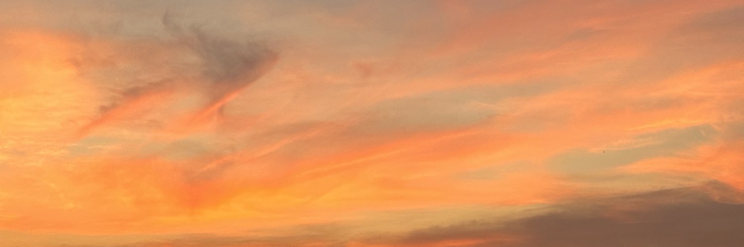 FernandaOrt's profile banner image
