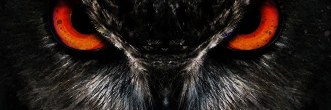 🇺🇦🇺🇦🇺🇦 Слава Україні Смерть Ворогам banner