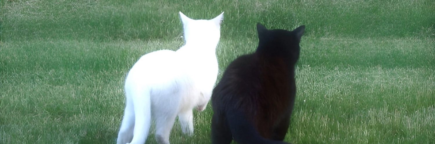 undoubtedlyuwu's profile banner image