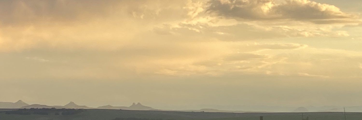 сняis сндмеLеои's banner