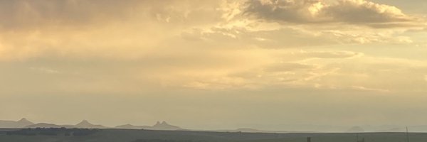 chrischameleon Profile Banner